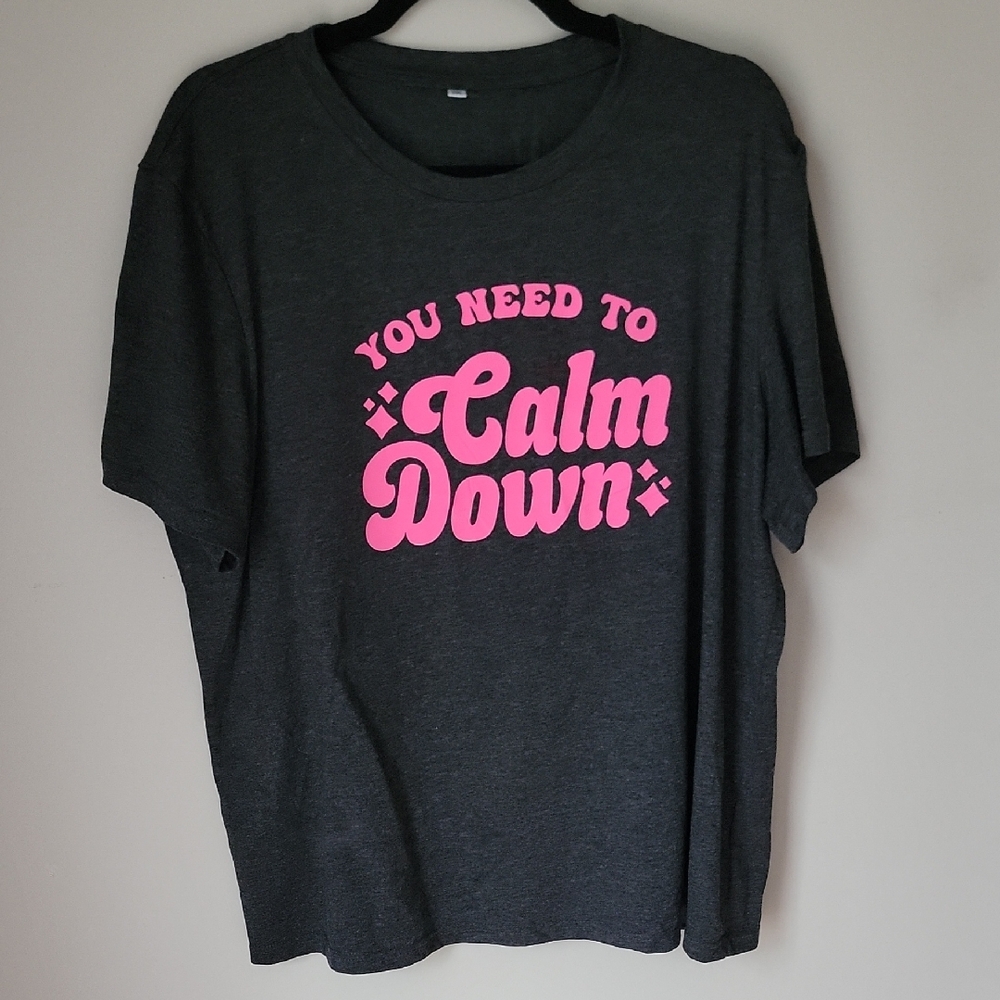 Gray Swiftie 'Calm Down' Tee 2xl